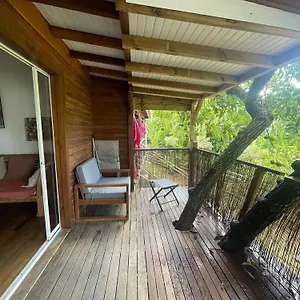 Avocatier Le Gosier (Grande-Terre)